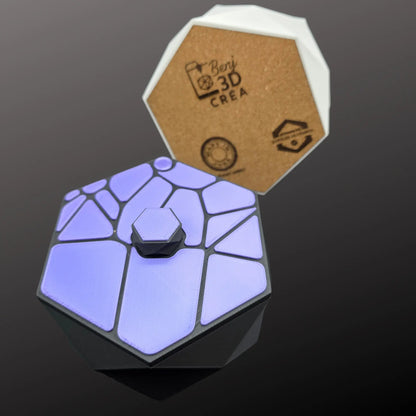 La Boîte Pivotante Voronoi – Signature Benjamin Lépine