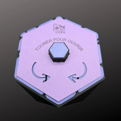 La Boîte Pivotante Voronoi – Signature Benjamin Lépine